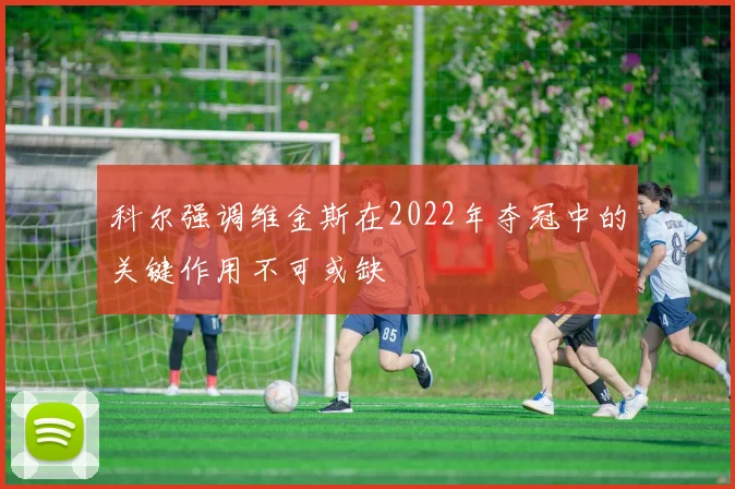 科尔强调维金斯在2022年夺冠中的关键作用不可或缺